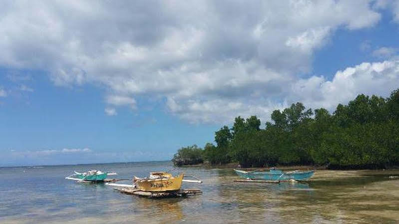 Bohol Muro Ami Beach Resort מראה חיצוני תמונה